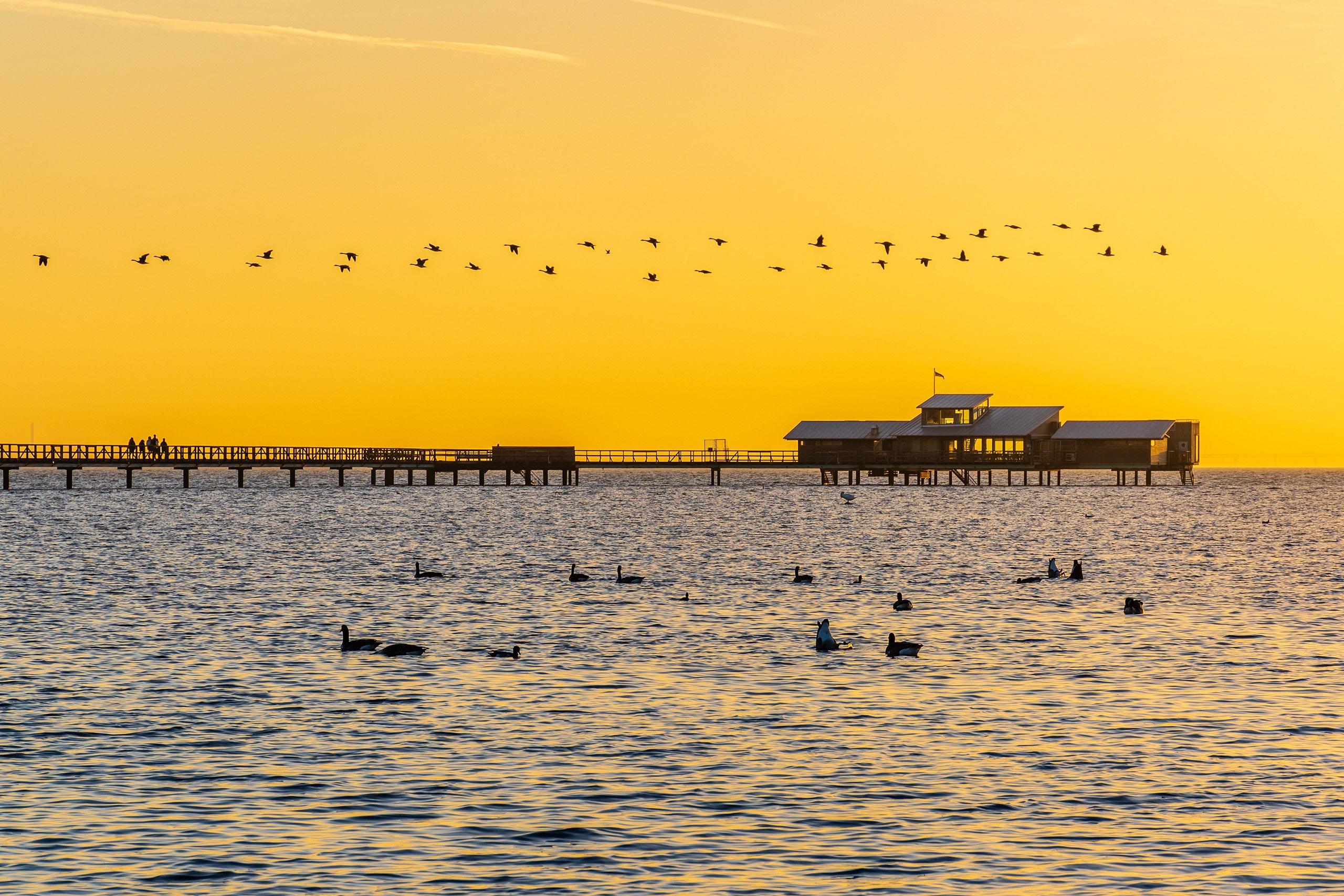 Hav-solnedgång-långa-bryggan-fåglar- JM