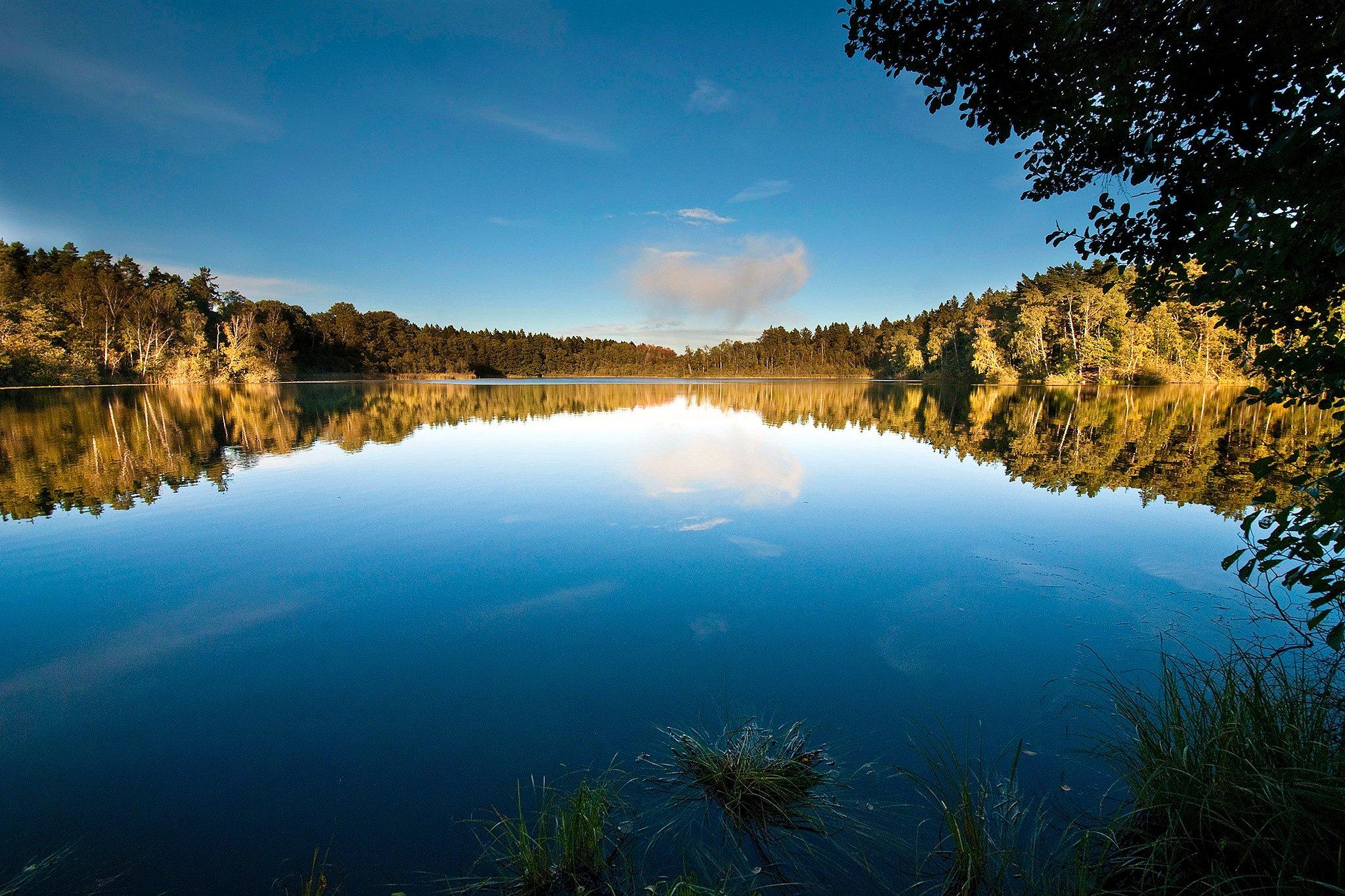 Sjön Judarn i Judarskogens naturreservat. 