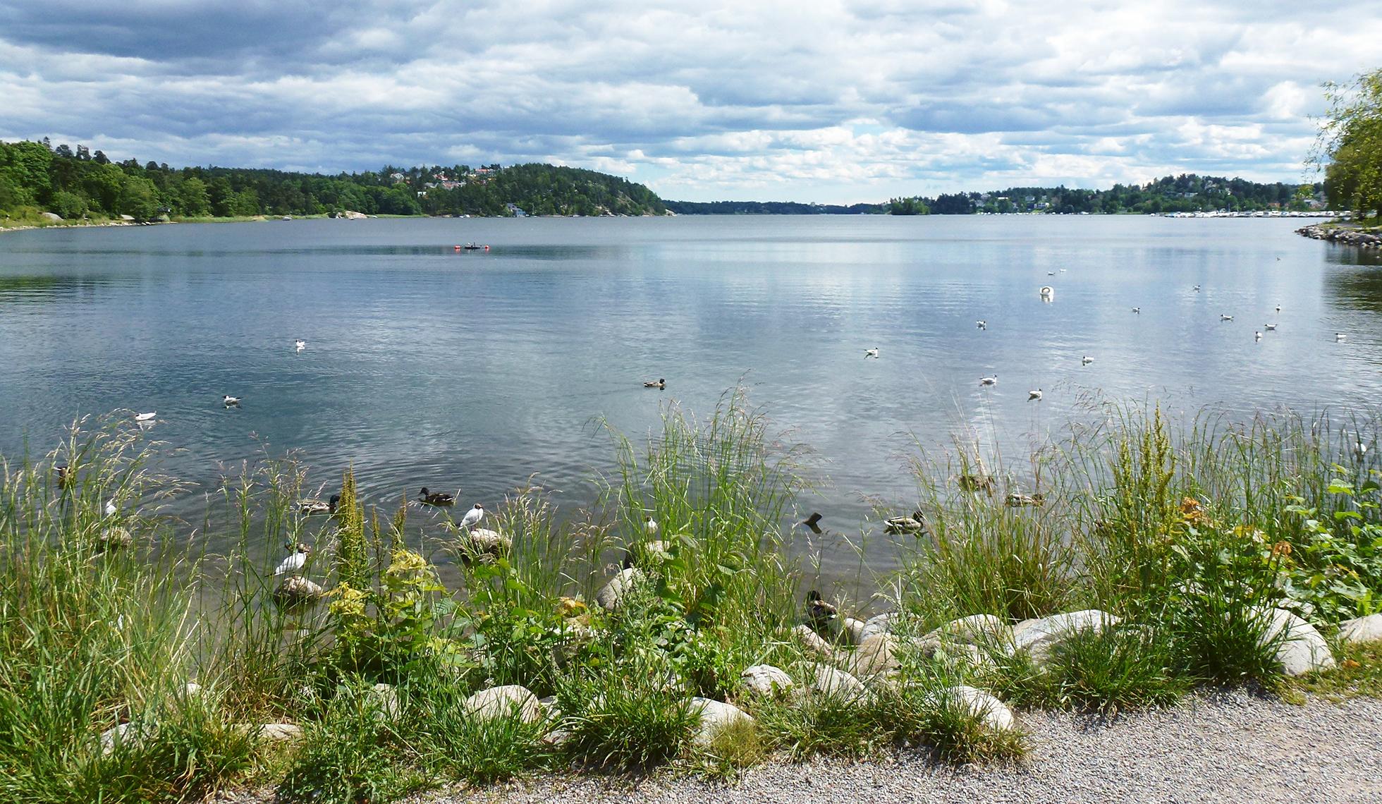 Promenadstråk utmed vattenbryn. 