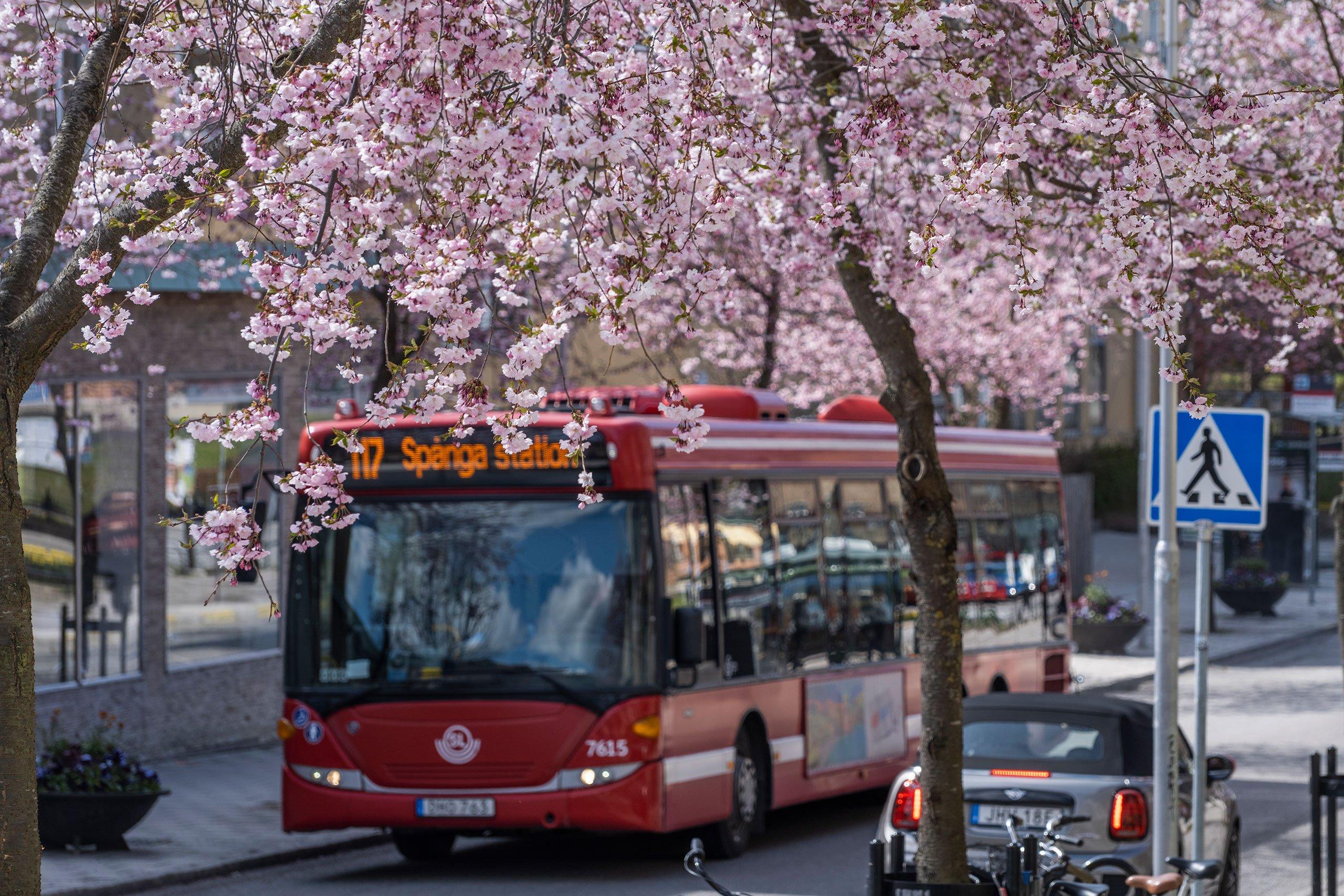 I Spånga säljer JM nyproducerade bostäder. Här bor du nära kommunikationer, affärer, service, skolor och fritidsaktiviteter.