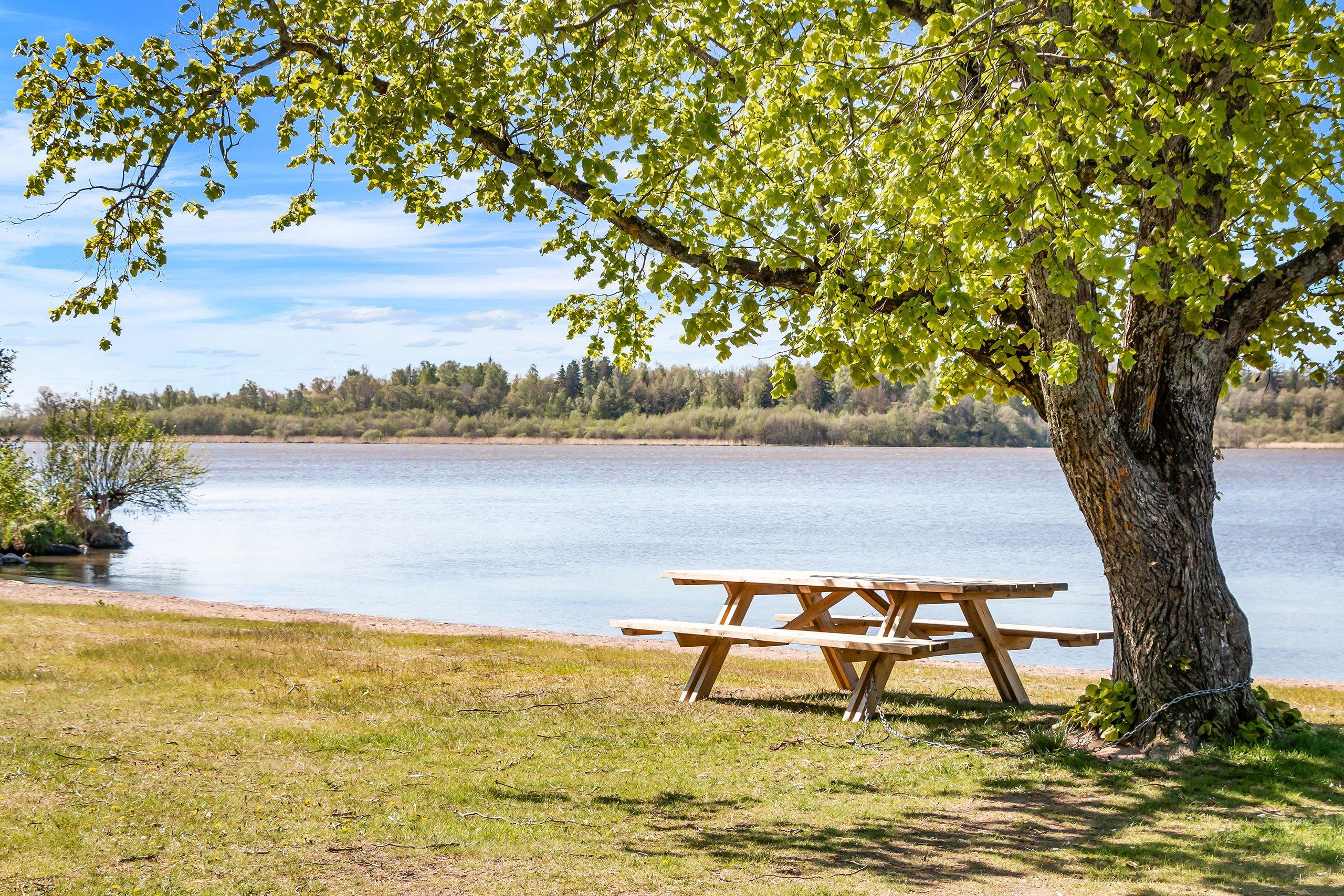 Picknickbänk under ett träd vid Mälaren.