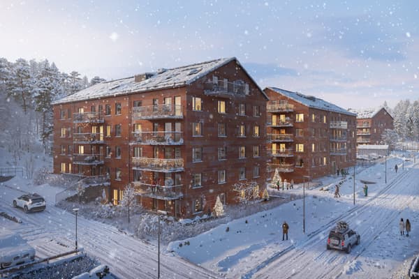 Översiktsbild Tölö Entré.