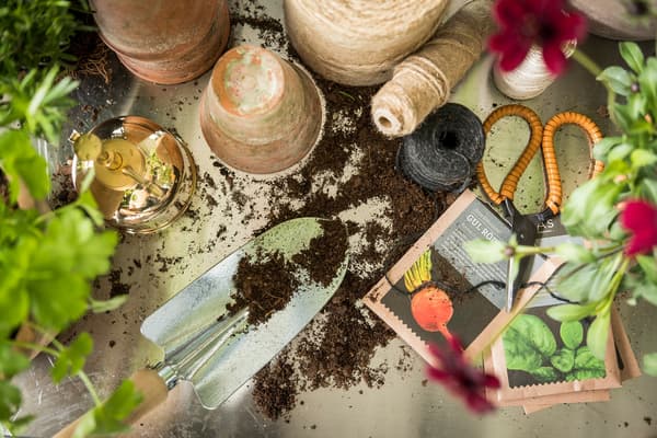 Odlingsbord med krukor, jord och fröpåsar.