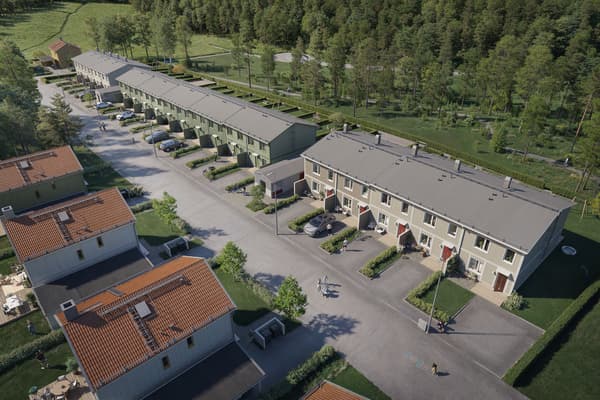 Radhuslängan om 20 radhus ovanifrån, uteplatserna vetter i väster mot ett grönområde.