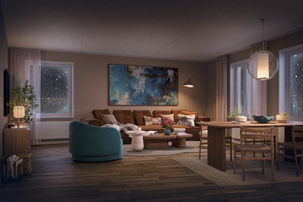 Illustrationsbild från en bostad i Silveraxet.