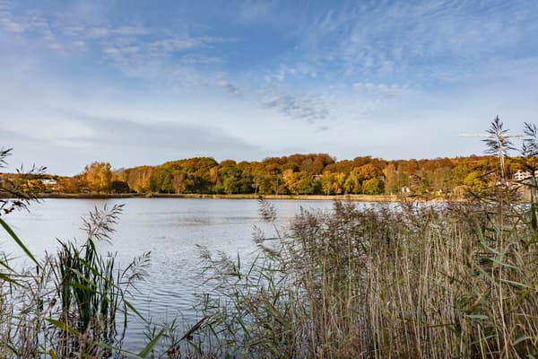 Massetjärn i Härryda med grönskande träd