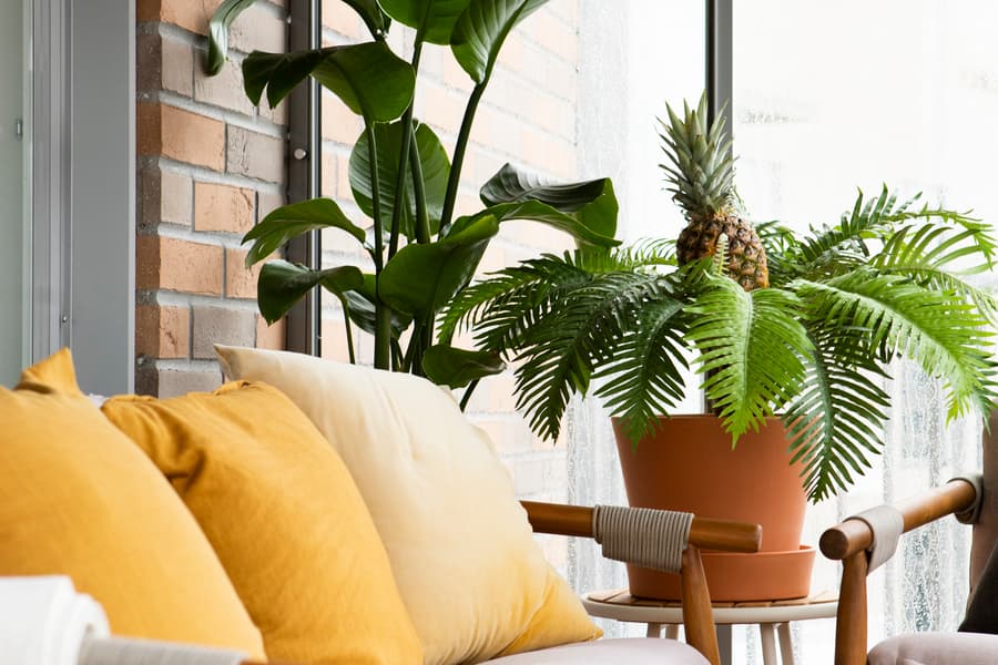 Soffa i avlång balkong