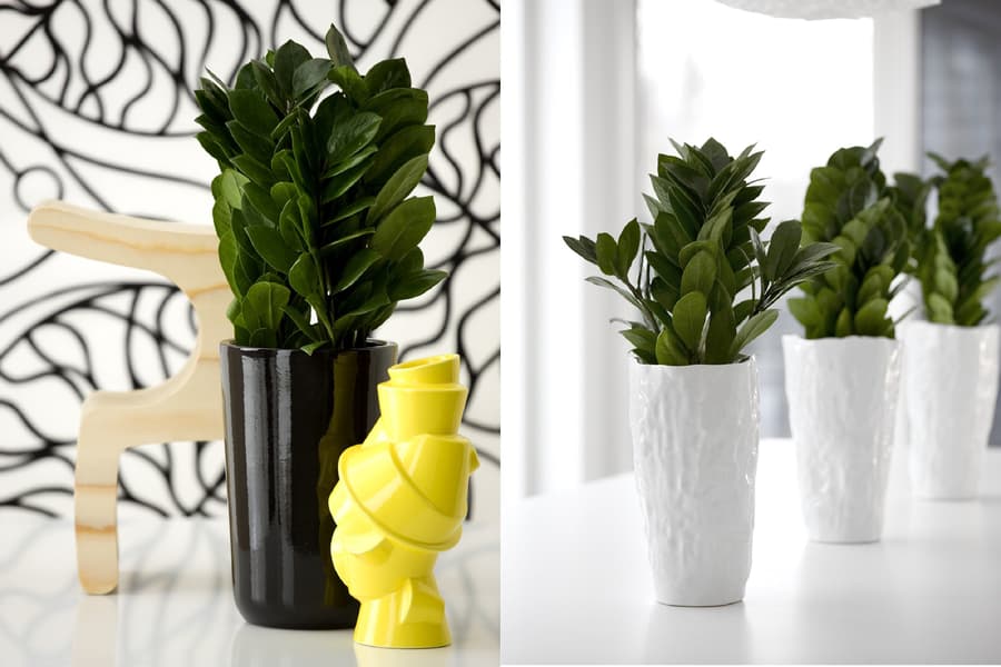 Garderobsblomor i krukor