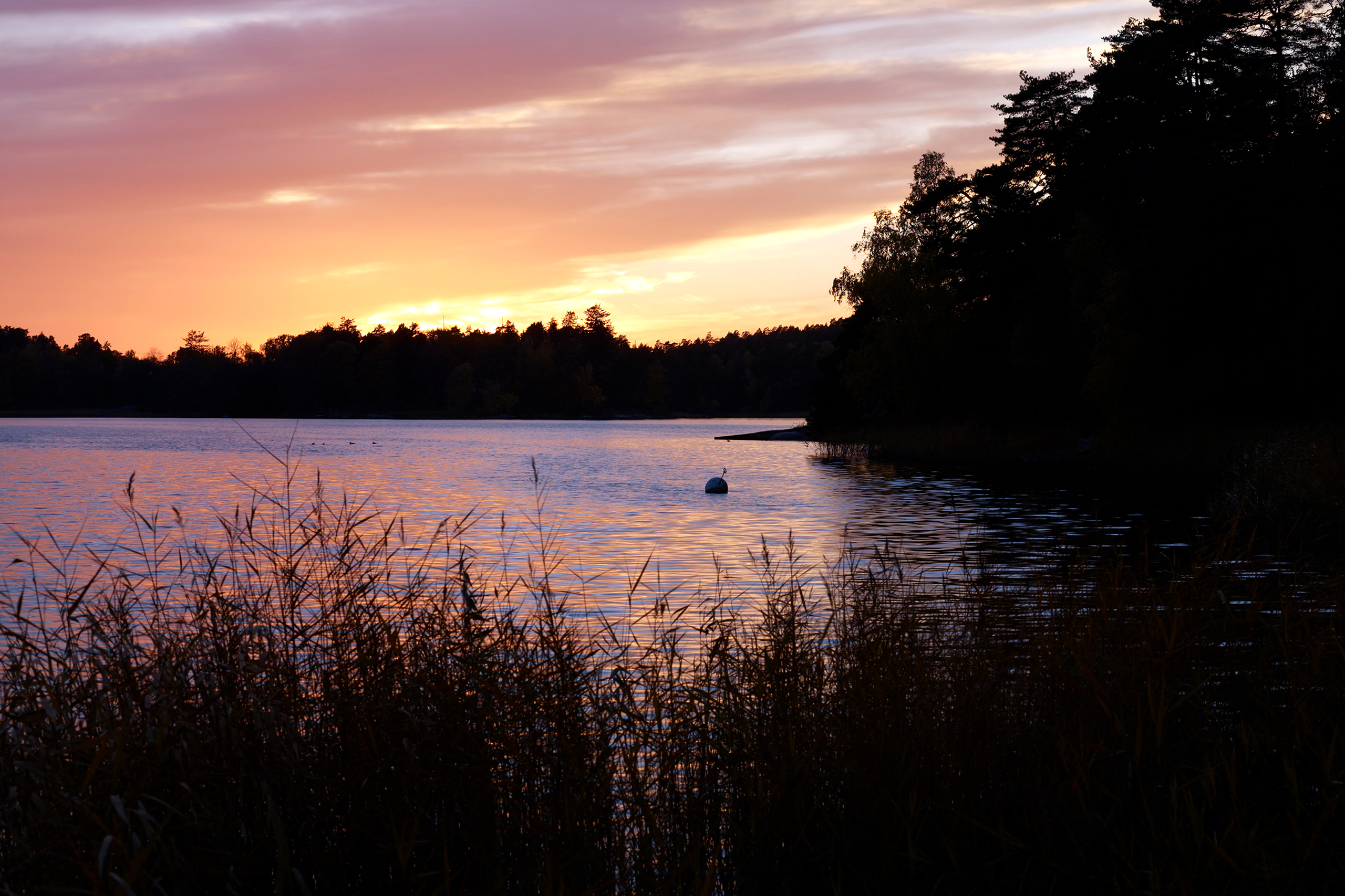 Nyproducerade bostäder i Värmdö kommun JM